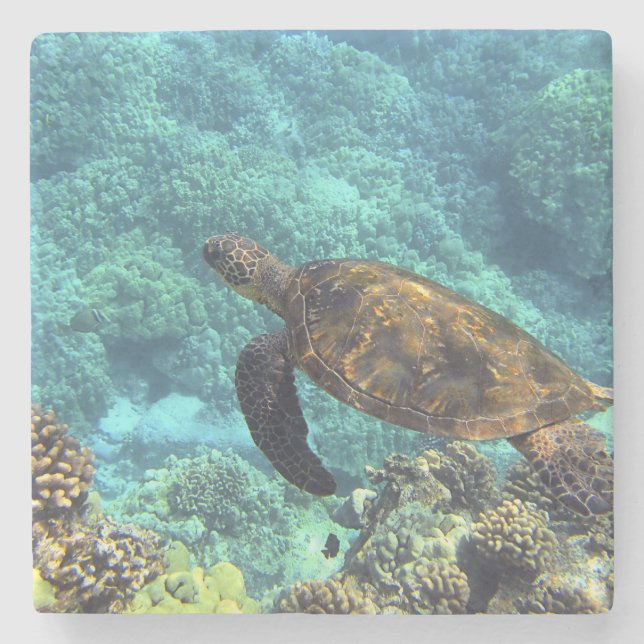 Posavasos De Piedra tortuga en el mar (Anverso)