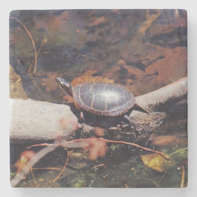 Posavasos De Piedra Tortuga feliz (Anverso)