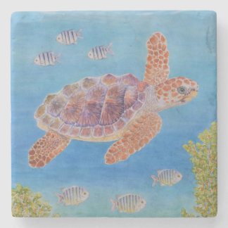 Posavasos De Piedra Tortuga marina joven de cabeza grande