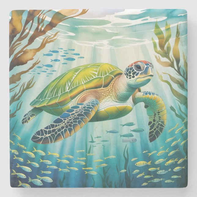 Posavasos De Piedra Tortuga Pintada (Anverso)