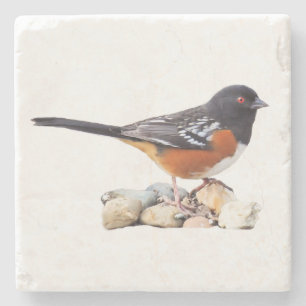 POSAVASOS DE PIEDRA TOWHEE MANCHADO