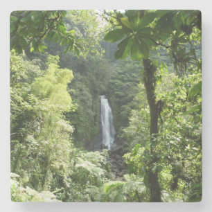 Posavasos De Piedra Trafalgar cae fotografía tropical de selva tropica