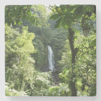 Posavasos De Piedra Trafalgar cae fotografía tropical de selva tropica