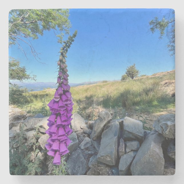 Posavasos De Piedra Tranquilidad del campo inglés (Anverso)