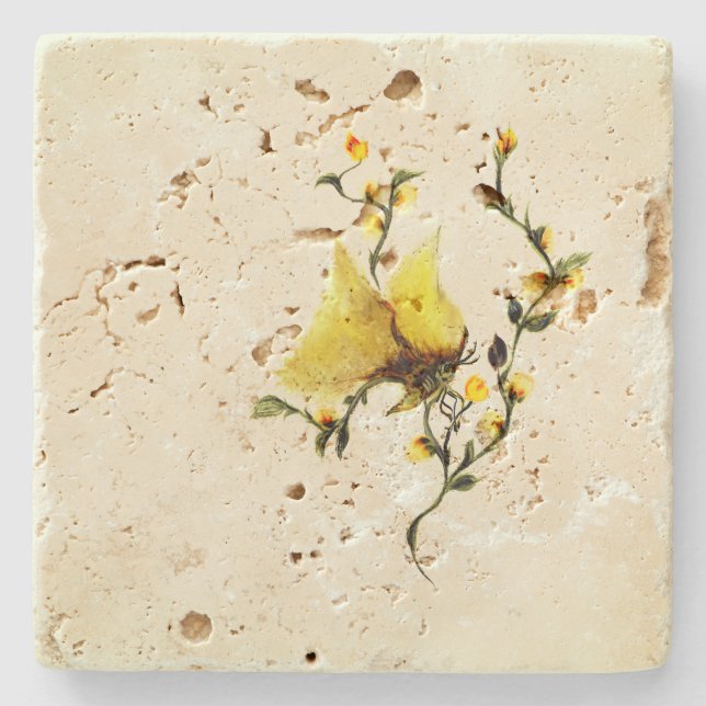 Posavasos De Piedra Travertino de escayola de piedra (Anverso)