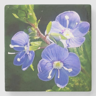 Posavasos De Piedra Tres flores azules