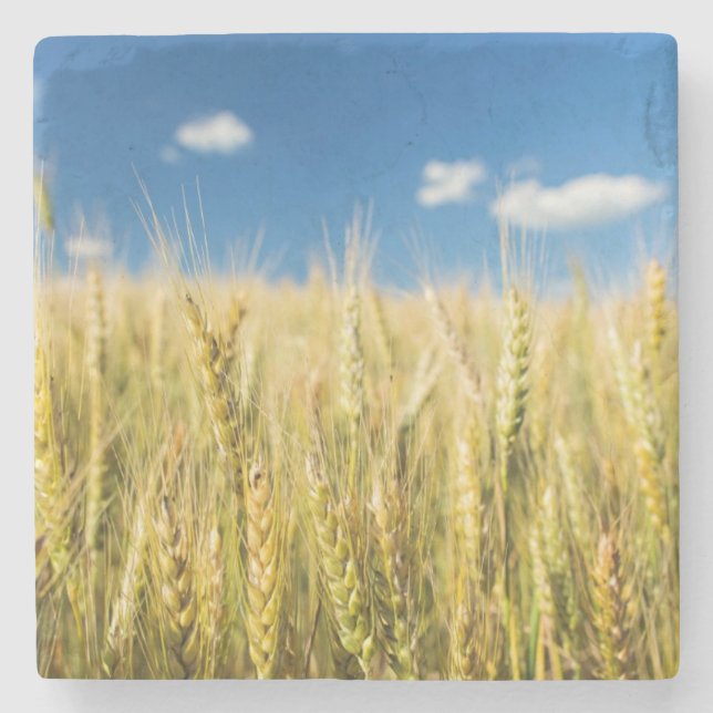Posavasos De Piedra Trigo de Kansas (Anverso)