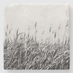 Posavasos De Piedra Tríptico III de la duna