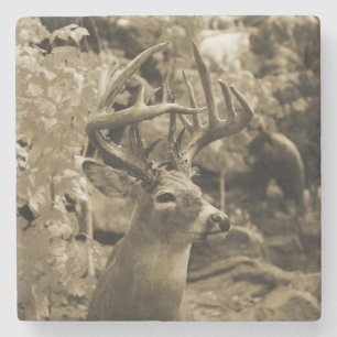 Posavasos De Piedra Trophy Deer