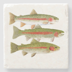 Posavasos De Piedra Trucha arco iris 3