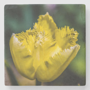 Posavasos De Piedra Tulip amarillo