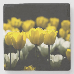 Posavasos De Piedra Tulipanes Amarillo Y Blanco