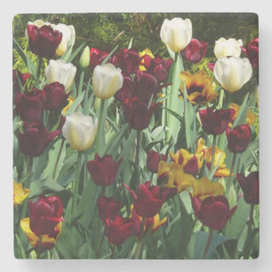 Posavasos De Piedra Tulipanes coloridos de color marrón y amarillo