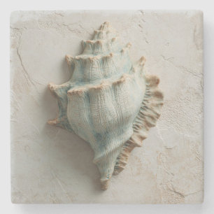 Posavasos De Piedra Turquesa y Concha de Caracol de Arena Costera