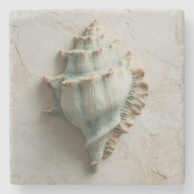 Posavasos De Piedra Turquoise and Sand Conch Shell Coastal (Anverso)