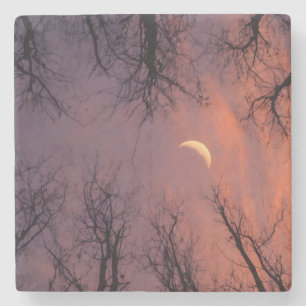 Posavasos De Piedra un’atmosfera accogliente e serena