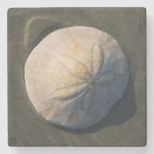 Posavasos De Piedra Un dólar de arena en la playa