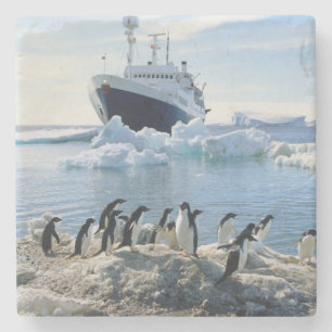 Posavasos De Piedra Un grupo de pingüinos que se colocan en una playa