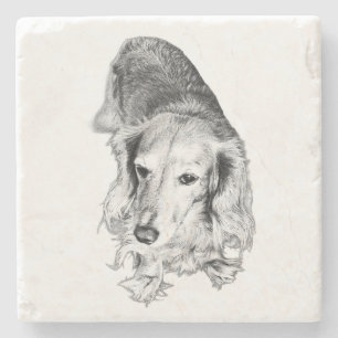 Posavasos De Piedra Un lugar para detenerse – Dachshund de pelo largo