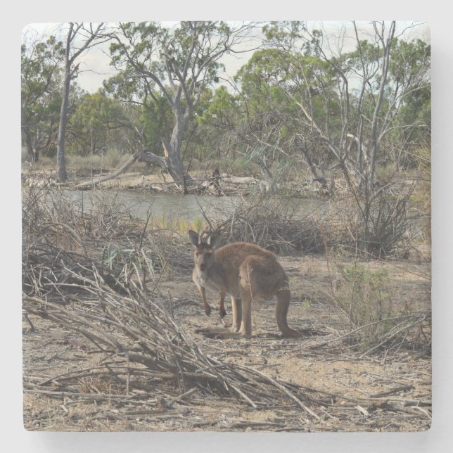 Posavasos De Piedra Un momento tranquilo: el canguro australiano en Bi (Anverso)