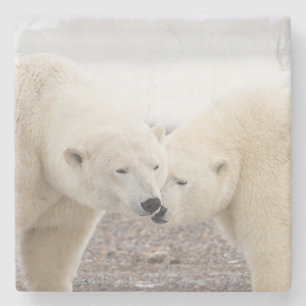 Posavasos De Piedra Un par de osos polares amorosos