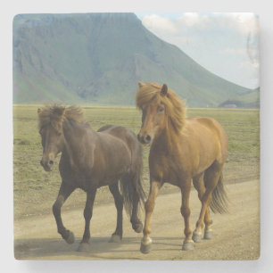 Posavasos De Piedra Un par de ponis islandeses marrones