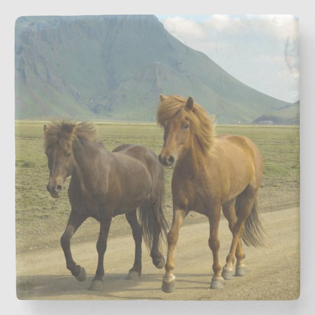 Posavasos De Piedra Un par de ponis islandeses marrones (Anverso)