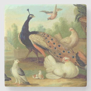 Posavasos De Piedra Un pavo real, palomas, pollos y un Jay en un