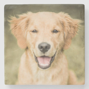 Posavasos De Piedra Un retrato de un perrito del golden retriever
