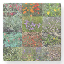 Una California floreciente: El doble arcoiris 2020