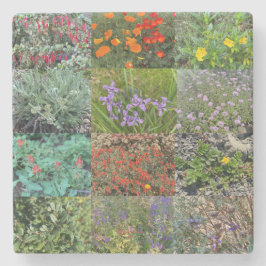 Posavasos De Piedra Una California floreciente: El doble arcoiris 2020