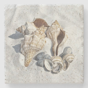 Posavasos De Piedra Una colección de conchas de mar en la arena