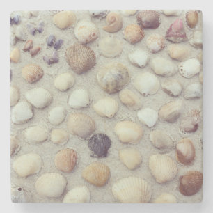 Posavasos De Piedra Una colección de Seashells