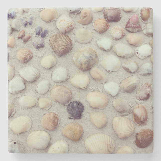 Posavasos De Piedra Una colección de Seashells (Anverso)
