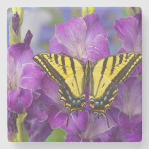 Posavasos De Piedra Una mariposa del virrey en Glads púrpura