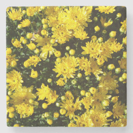 Posavasos De Piedra Una multitud de Mamáes amarillas