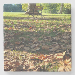 Posavasos De Piedra Una parada tranquila