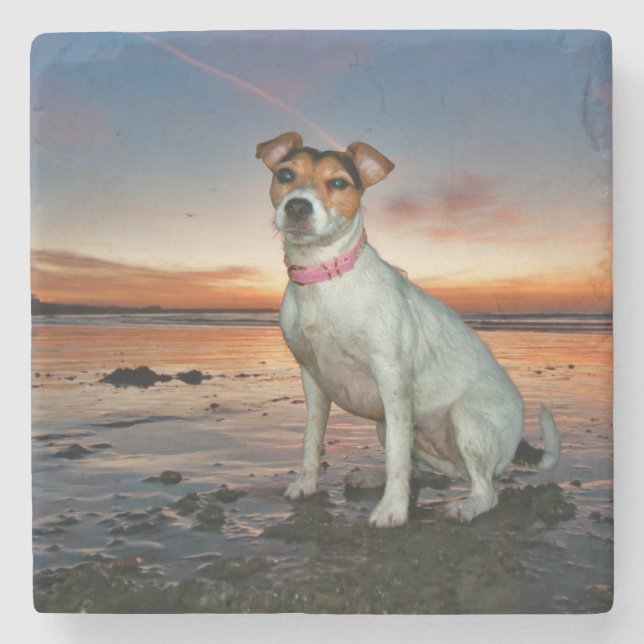 Posavasos De Piedra Una playa de la playa el | Brighton de Jack que se (Anverso)