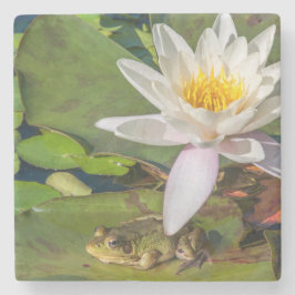 Posavasos De Piedra Una rana bajo una flor de nenúfar