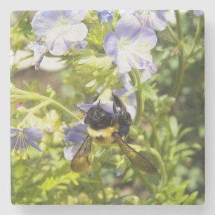 Posavasos De Piedra Upside-down manosee la abeja