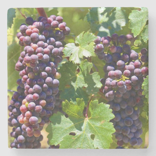 Posavasos De Piedra Uvas (Anverso)