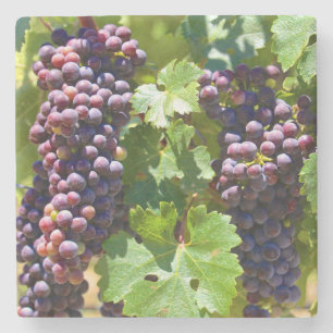 Posavasos De Piedra Uvas