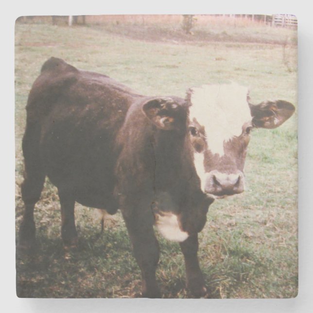 Posavasos De Piedra Vaca de crema marrón (Anverso)