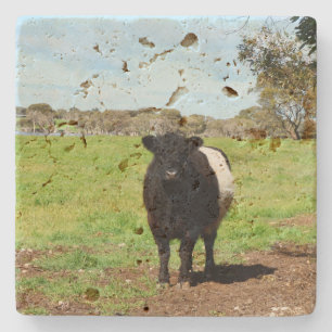 Posavasos De Piedra Vaca Galloway Bellada Femenina,