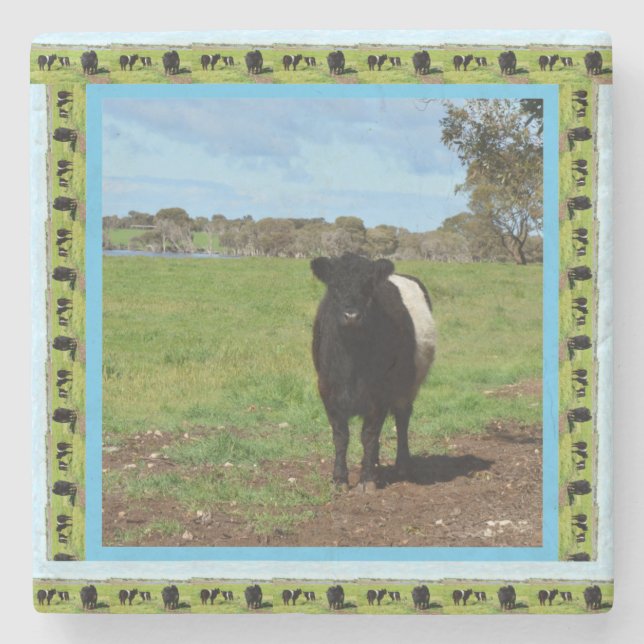 Posavasos De Piedra Vaca Galloway Bellada Femenina, (Anverso)