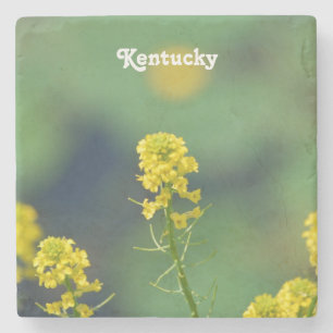 Posavasos De Piedra Vara de oro de Kentucky