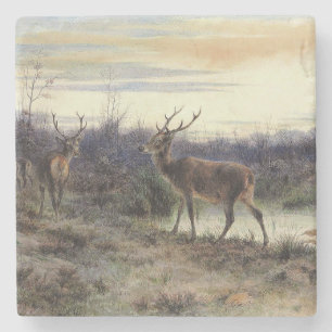 Posavasos De Piedra Venado en el bosque de Fontainebleau (Rosa Bonheur