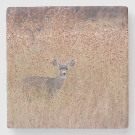 Posavasos De Piedra Venado en la pradera