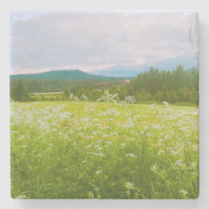 Posavasos De Piedra Verano en Hälsingland - Helsingia