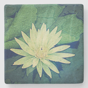 Posavasos De Piedra Verde de la flor del lirio de agua
